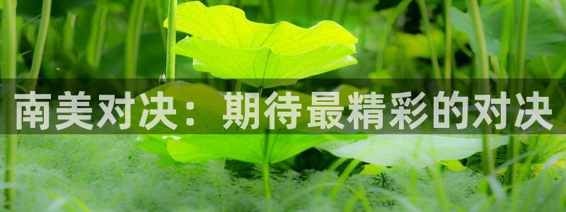 2026世界杯足球赛程时间表：南美对决：期待最精彩的对决