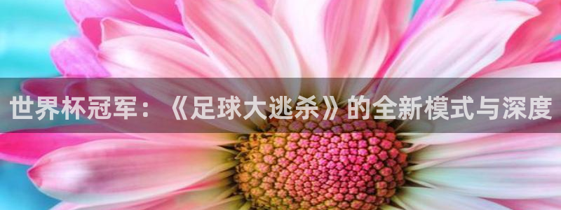 世界杯2026比赛时间表：世界杯冠军：《足球大逃杀》的全新模式与深度