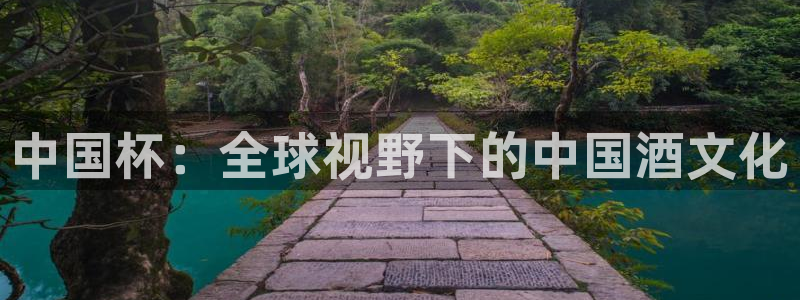 世界杯2026赛程表：中国杯：全球视野下的中国酒文化