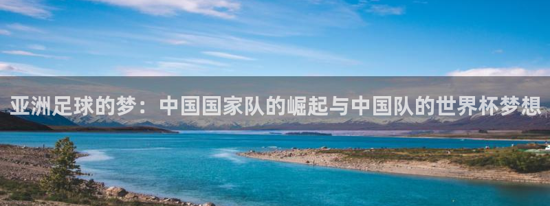 世界杯预选赛亚洲：亚洲足球的梦：中国国家队的崛起与中国队的世界杯梦想