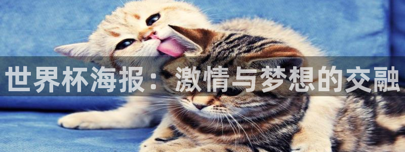 世界杯预选赛赛程：世界杯海报：激情与梦想的交融