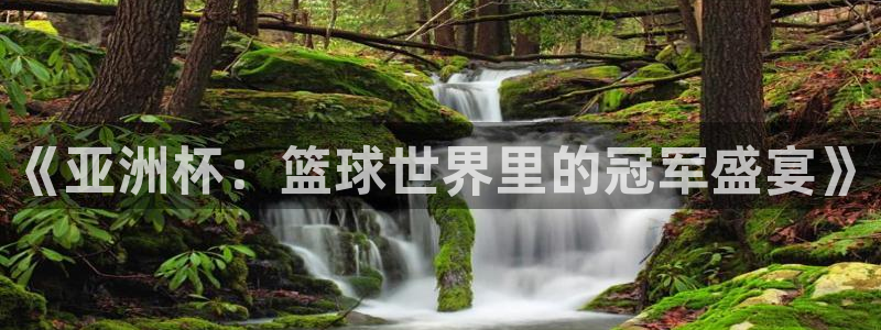 2026年世界杯直播平台：《亚洲杯：篮球世界里的冠军盛宴》