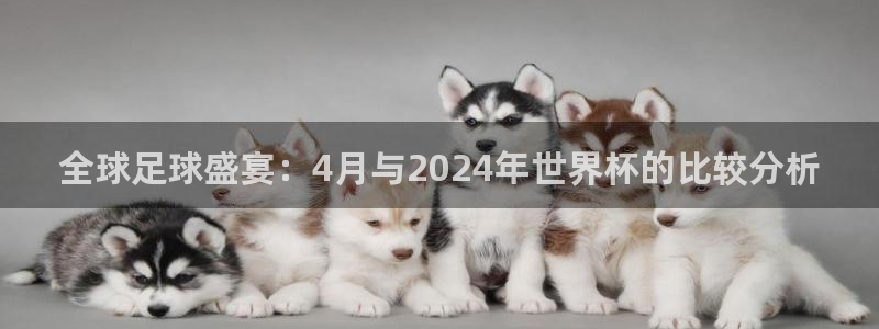 世界杯16强赛程表：全球足球盛宴：4月与2024年世界杯的比较分析