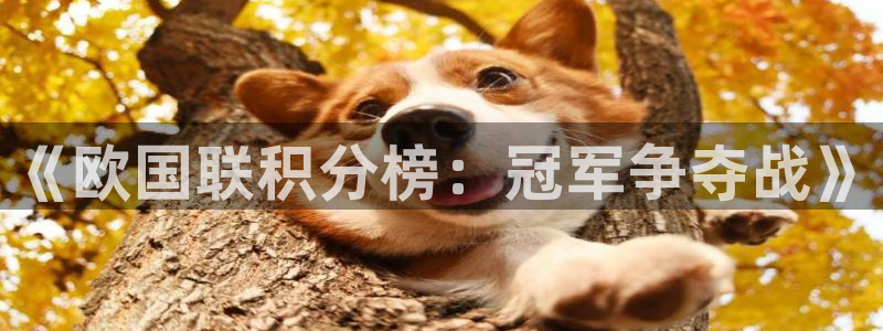 世预赛欧洲赛程表：《欧国联积分榜：冠军争夺战》