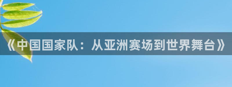 今年的世界杯：《中国国家队：从亚洲赛场到世界舞台》