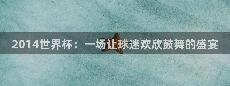欧洲区世界杯预选赛：2014世界杯：一场让球迷欢欣鼓舞的盛宴
