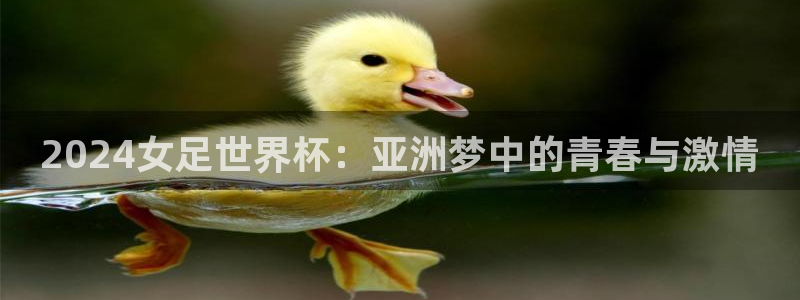 世界杯系列赛：2024女足世界杯：亚洲梦中的青春与激情