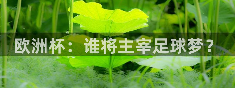 澳门世界杯直播：欧洲杯：谁将主宰足球梦？